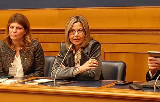 Gadda: «Strumenti finanziari decisivi per innovazione e transizione energetica in agricoltura» Gadda: «Strumenti finanziari decisivi per innovazione e transizione energetica in agricoltura»