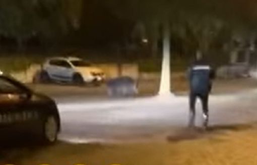 Cinghiale nel parcheggio dell'Esselunga di Masnago