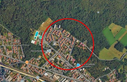 Emergenza Chikungunya a Gallarate: scatta la maxi disinfestazione a Moriggia Emergenza Chikungunya a Gallarate: scatta la maxi disinfestazione a Moriggia