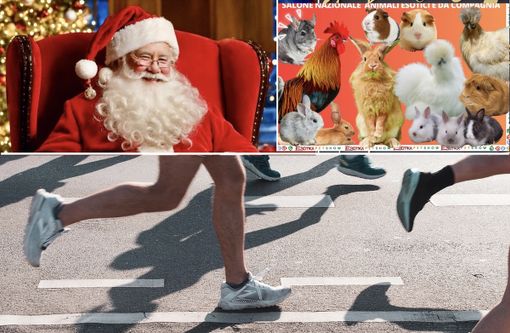 Primi, timidi assaggi di Natale. Ma vincono soprattutto sport e cultura Primi, timidi assaggi di Natale. Ma vincono soprattutto sport e cultura