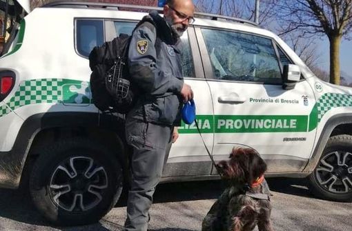 «Bravo cane-agente Sole: hai scovato il delinquente che aveva piazzato le esche killer»