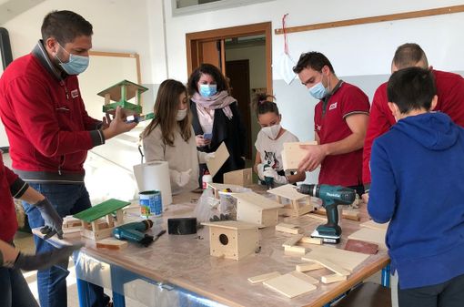 Olgiate, arrivano le casette per uccelli al parco Shapira Olgiate, arrivano le casette per uccelli al parco Shapira