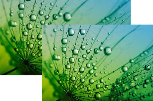 Come rendere trasparente lo sfondo di un logo Come rendere trasparente lo sfondo di un logo