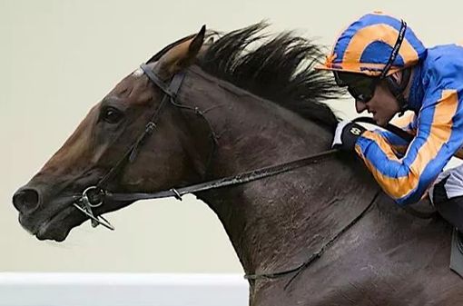 Dettori, Tomasini, Gonnelli e Grizzetti fanno le carte al clou di stasera all'ippodromo Dettori, Tomasini, Gonnelli e Grizzetti fanno le carte al clou di stasera all'ippodromo