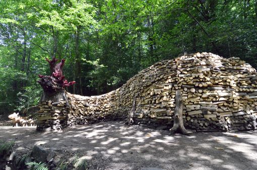 C'è un drago di 15 metri nei boschi di Boarezzo. L'ultima folle impresa dei &quot;maghi del legno&quot; della Valganna