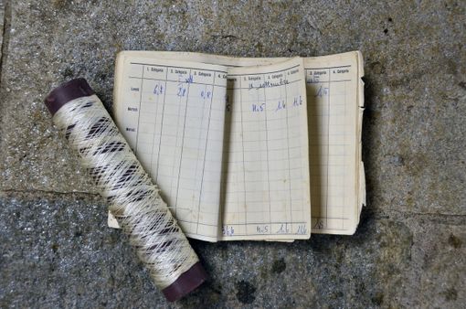 (fotoservizio Mario Chiodetti)