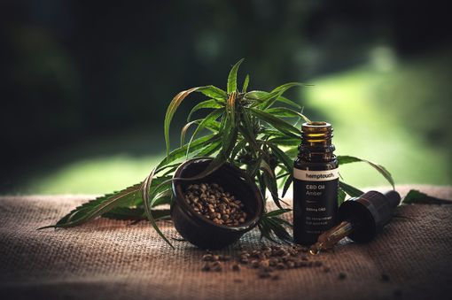 Tutti i metodi di coltivazione della cannabis light in Italia