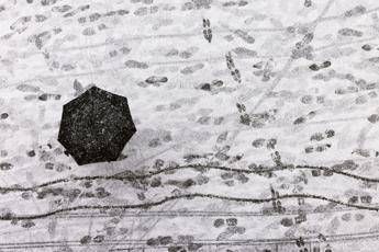 Dal freddo artico al tempestoso Maestrale: brusca svolta meteo sull'Italia