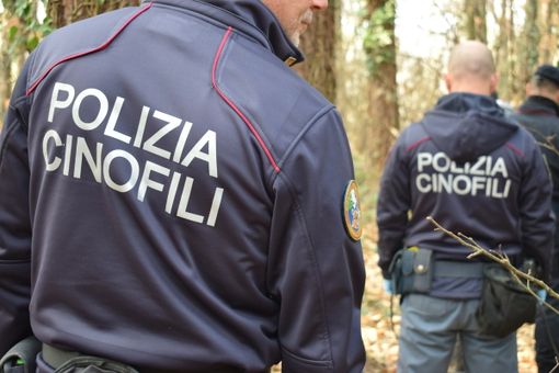 Operazione contro lo spaccio: sequestrati hashish e cocaina e smantellato bivacco nel Parco Pineta