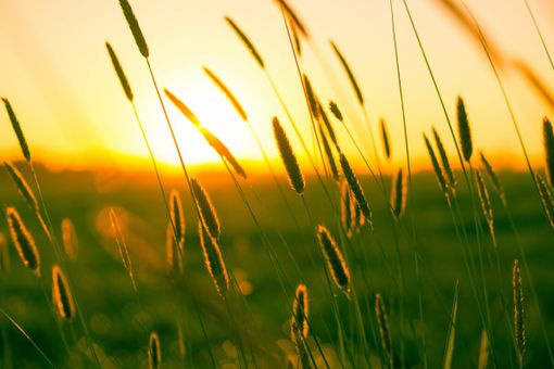 GLI APPUNTAMENTI. Il weekend si sveglia al tramonto nel Bustese GLI APPUNTAMENTI. Il weekend si sveglia al tramonto nel Bustese