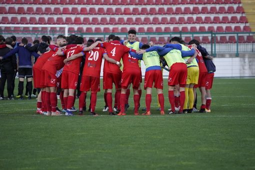 I tigrotti vittoriosi sul campo dell'Alessandria lo scorso maggio
