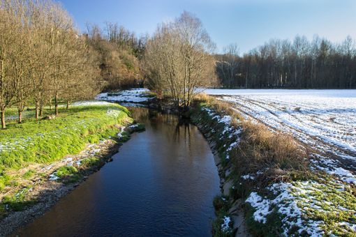 (Foto Donatella Canavesi, gruppo Amici dell'Olona) (Foto Donatella Canavesi, gruppo Amici dell'Olona)