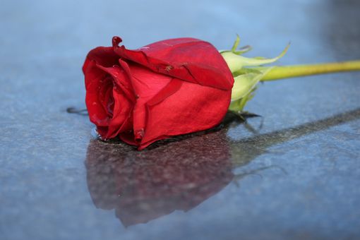 Cimitero aperto tutta la settimana: Fagnano ha deciso
