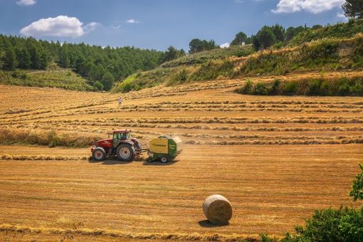 I giovani agricoltori resistono al Covid