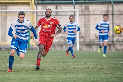 Dopo Pro Patria - Alessandria (foto di Marco Giussani) torna la diretta su Sky
