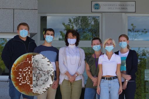 Nuovo antibiotico scoperto nei laboratori dell’Insubria: un’arma contro le infezioni batteriche Nuovo antibiotico scoperto nei laboratori dell’Insubria: un’arma contro le infezioni batteriche