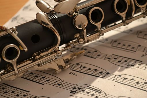 “Risveglio in Musica” continua domenica 7 marzo