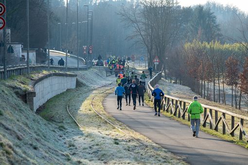 Aranciolona, domenica 11 febbraio attenzione alla chiusura delle strade Aranciolona, domenica 11 febbraio attenzione alla chiusura delle strade