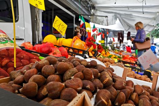 Olgiate, Sagra d'autunno: quanto ci sei mancata...