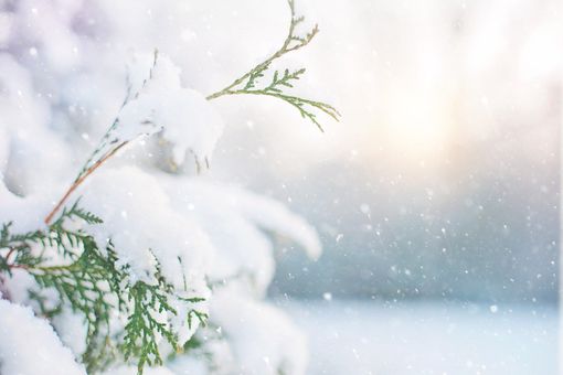 A Busto servizio rifiuti attivo domani, ma occhio alla neve