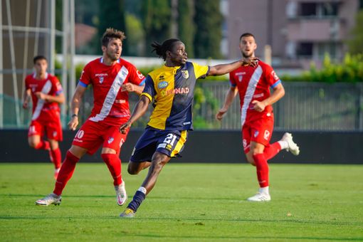 Osuji, giocatore del Trento, e i tigrotti: una foto di Marco Giussani che diventa anche un'ispirazione