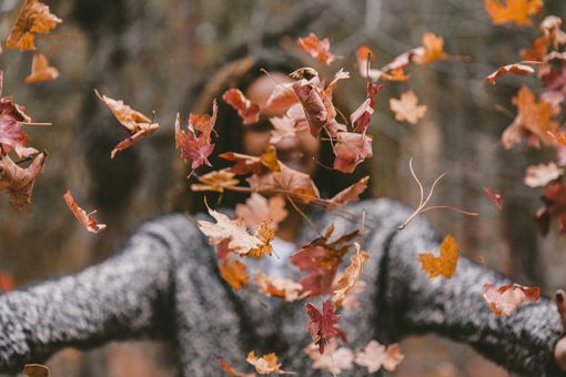 L'autunno riempie il weekend di colori e appuntamenti L'autunno riempie il weekend di colori e appuntamenti