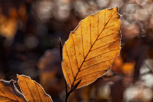 Ultima giornata mite prima di una domenica nuvolosa e di un lunedì con qualche pioggia: oggi ancora 20°, poi massime giù anche di 8 gradi