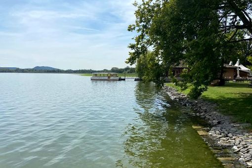 Isolino Virginia in primavera: il 27 aprile e il 18 maggio visite guidate al bene Unesco Isolino Virginia in primavera: il 27 aprile e il 18 maggio visite guidate al bene Unesco