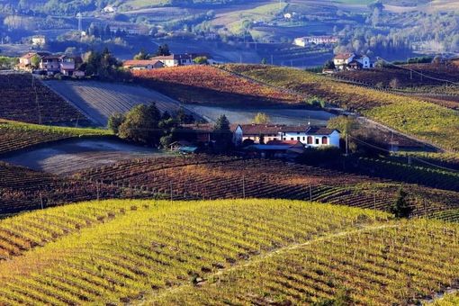 Vuoi organizzare una visita con degustazione in cantina? L’azienda agricola Ivaldi riapre le porte ai visitatori Vuoi organizzare una visita con degustazione in cantina? L’azienda agricola Ivaldi riapre le porte ai visitatori