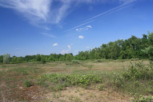 Camminata di primavera: 15 anni di impegno per la Via Gaggio