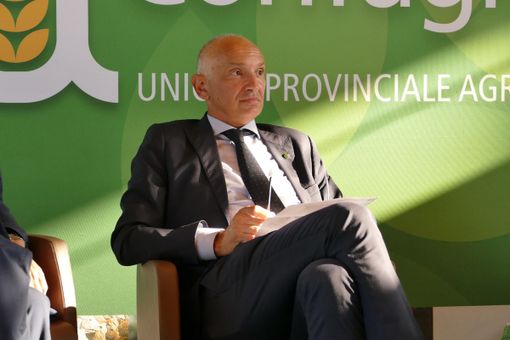 «Un distretto del legno tra Lombardia, Piemonte e Liguria per generare nuova ricchezza e arginare la tempesta perfetta della crisi»