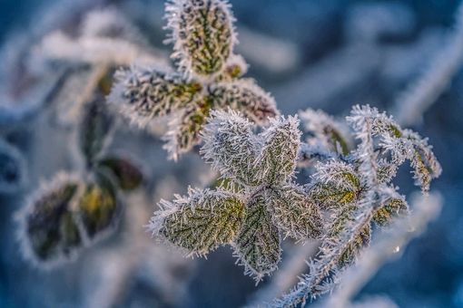 Temperature in calo, il Centro Geofisico Prealpino: «Possibile nevischio nella notte. Gelate all'alba» Temperature in calo, il Centro Geofisico Prealpino: «Possibile nevischio nella notte. Gelate all'alba»
