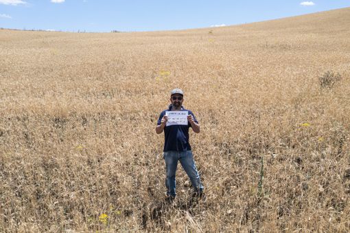 Fabio Longhin nel suo ettaro adottato a Raddusa, in Provincia di Catania Fabio Longhin nel suo ettaro adottato a Raddusa, in Provincia di Catania