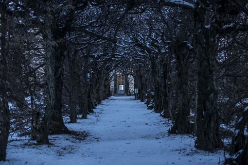 Natale nei beni del Fai di Varese e Provincia Natale nei beni del Fai di Varese e Provincia