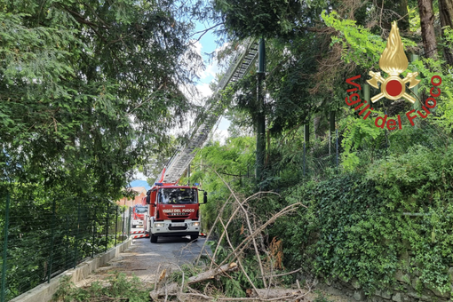 Il luogo dell'incidente