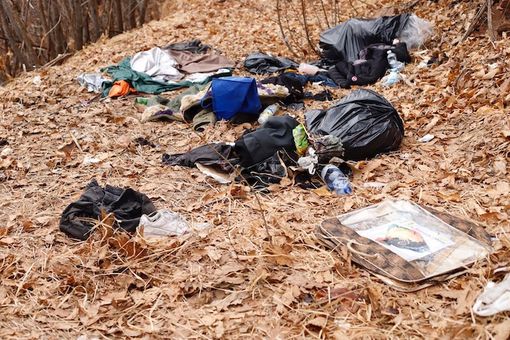 Foto d'archivio Foto d'archivio