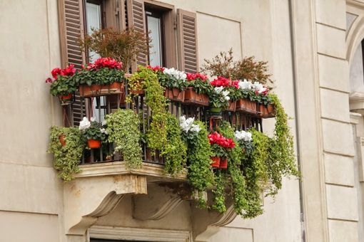 (immagine d'archivio) (immagine d'archivio)