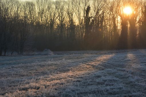 (Foto P. Valisa - Centro Geofisico Prealpino) (Foto P. Valisa - Centro Geofisico Prealpino)