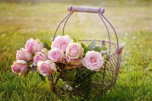 Fioriere da giardino: la guida completa all’acquisto