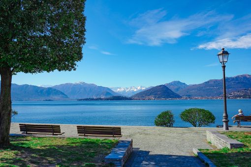 «Con &quot;Incubatoio naturale&quot; salviamo i pesci del Lago Maggiore»