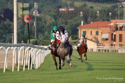 Emozioni sotto le stelle alle Bettole: City of Stars, Canticchiando e Baffonero si candidano per l'Ermolli Emozioni sotto le stelle alle Bettole: City of Stars, Canticchiando e Baffonero si candidano per l'Ermolli