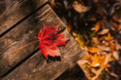 CHE FARE NEL WEEKEND. Un fine settimana di ottobre da trascorrere tra musica, mostre e letture