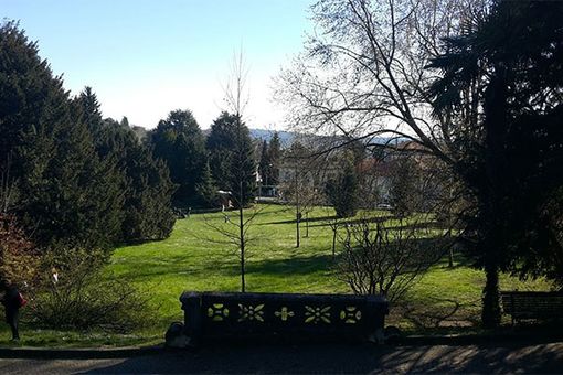 Online il bando per la gestione di un nuovo chiosco nel parco Mantegazza di Masnago