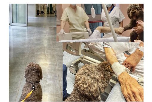 foto dalla pagina Facebook dell'Asst Nord Milano foto dalla pagina Facebook dell'Asst Nord Milano