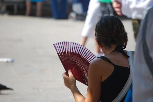ONDATA DI CALDO. Lunedì massima di 33.2 gradi, martedì il picco. Umidità del 70%: la notte è tropicale ONDATA DI CALDO. Lunedì massima di 33.2 gradi, martedì il picco. Umidità del 70%: la notte è tropicale