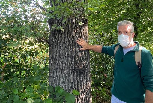 Il professor Andrea Viganò