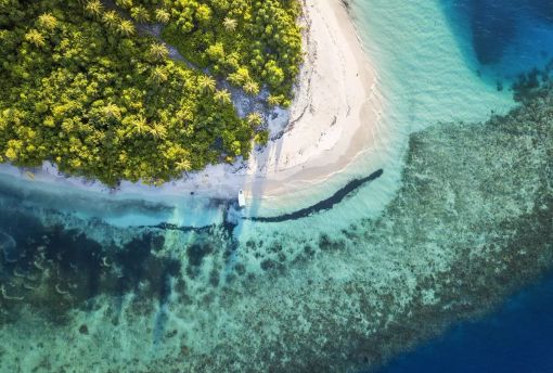 Maldive, avviate le operazioni per recuperare i corpi dei cinque sub italiani Maldive, avviate le operazioni per recuperare i corpi dei cinque sub italiani