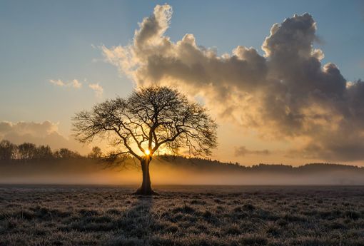 Quando arriva l'autunno? Da sabato con vento e crollo delle temperature minime