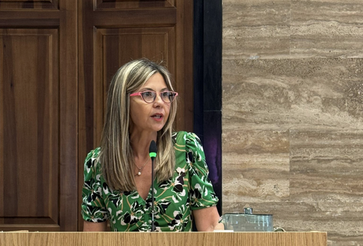 Gadda (Iv): «Ho trovato la risposta alla mia interrogazione su un sito, non in Parlamento»