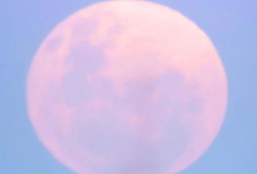 Luna di Fragola in arrivo: cosa succede l'11 giugno e come osservarla Luna di Fragola in arrivo: cosa succede l'11 giugno e come osservarla